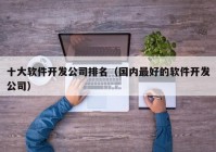 十大軟件開發(fā)公司排名（國內(nèi)最好的軟件開發(fā)公司）