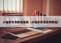 小程序開發(fā)教程視頻（小程序開發(fā)實例教程）