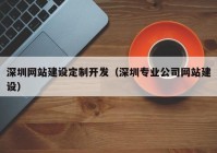 深圳網(wǎng)站建設定制開發(fā)（深圳專業(yè)公司網(wǎng)站建設）