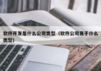 軟件開發(fā)是什么公司類型（軟件公司屬于什么類型）