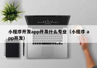 小程序開發(fā)app開發(fā)什么專業(yè)（小程序 app開發(fā)）