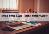 軟件開發(fā)學(xué)什么語言（軟件開發(fā)學(xué)哪種語言好）