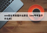 seo優(yōu)化專員是什么職位（seo專員是干什么的）