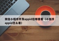 微信小程序開發(fā)appid在哪里看（小程序appid怎么看）