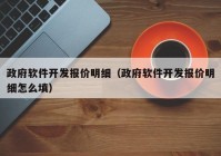 政府軟件開發(fā)報價明細（政府軟件開發(fā)報價明細怎么填）