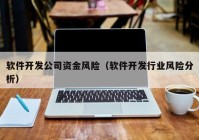 軟件開發(fā)公司資金風險（軟件開發(fā)行業(yè)風險分析）